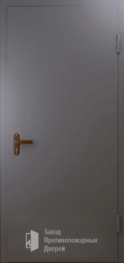 Фото двери «Техническая дверь №1 однопольная» в Троицку