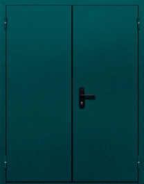 Фото двери «Двупольная глухая №36» в Троицку