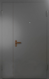 Фото двери «Техническая дверь №6 полуторная» в Троицку